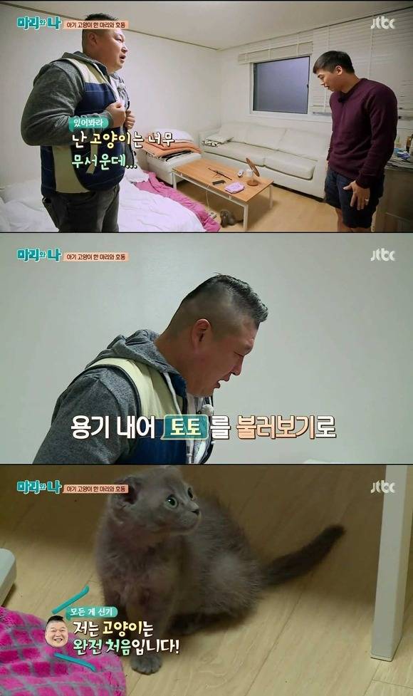 [마리와나] 케미가 냥냥 터지는 강호동과 새끼 고양이 토토.jpg | 인스티즈