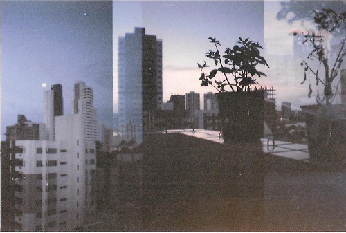 왜 너는 내 온몸에 가득 꽃을 피워놓고 이렇게 나를 아득하게 해 왜 | 인스티즈