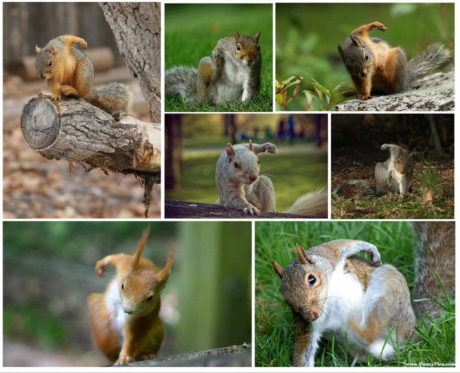 회사별 슈퍼히어로 랜딩.gif | 인스티즈