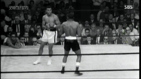 때리는걸 아무도 보지 못했다는 펀치 | 인스티즈