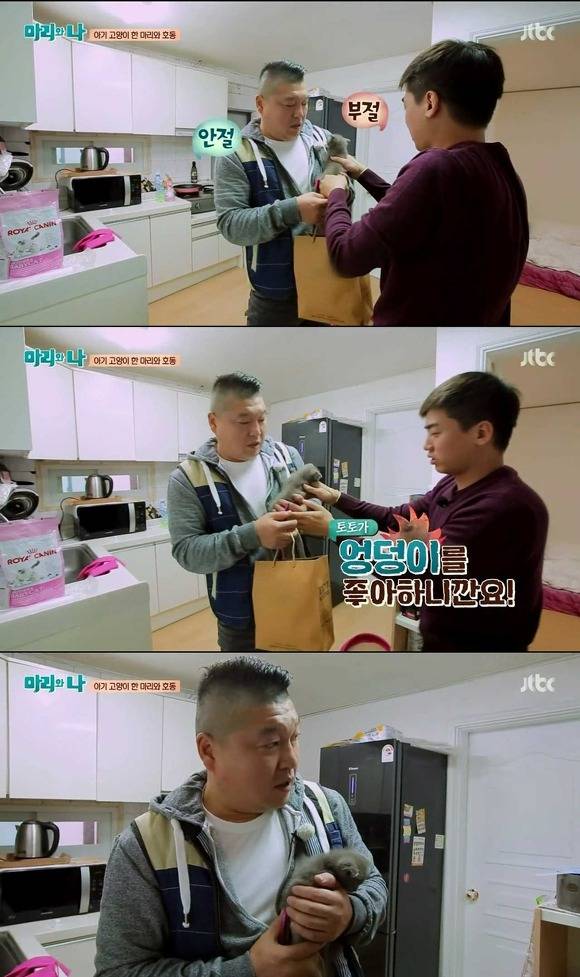 [마리와나] 케미가 냥냥 터지는 강호동과 새끼 고양이 토토.jpg | 인스티즈