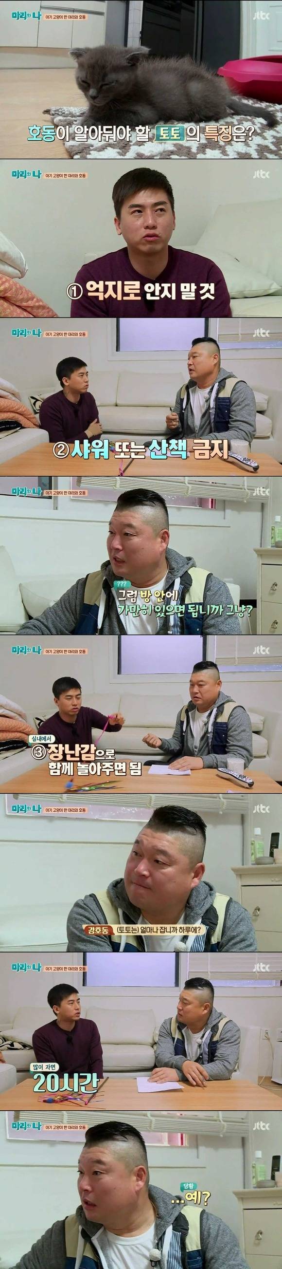 [마리와나] 케미가 냥냥 터지는 강호동과 새끼 고양이 토토.jpg | 인스티즈