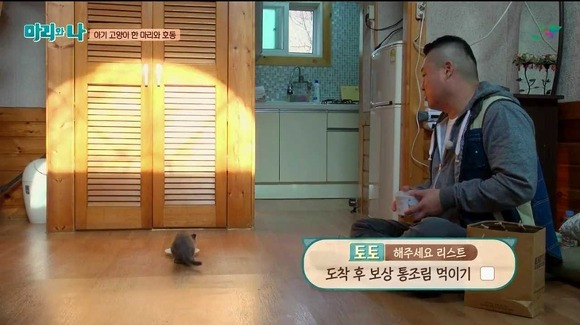 [마리와나] 케미가 냥냥 터지는 강호동과 새끼 고양이 토토.jpg | 인스티즈