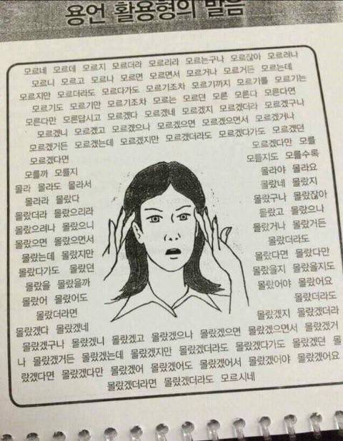 외국인에게 한국어가 어려운 이유.jpg | 인스티즈