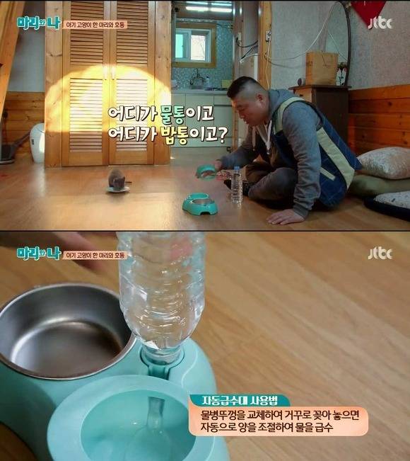 [마리와나] 케미가 냥냥 터지는 강호동과 새끼 고양이 토토.jpg | 인스티즈