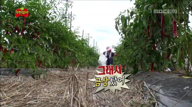 [무한도전] 자식 자랑하는 팔불출 명수옹ㅋㅋㅋㅋㅋㅋㅋㅋㅋ | 인스티즈