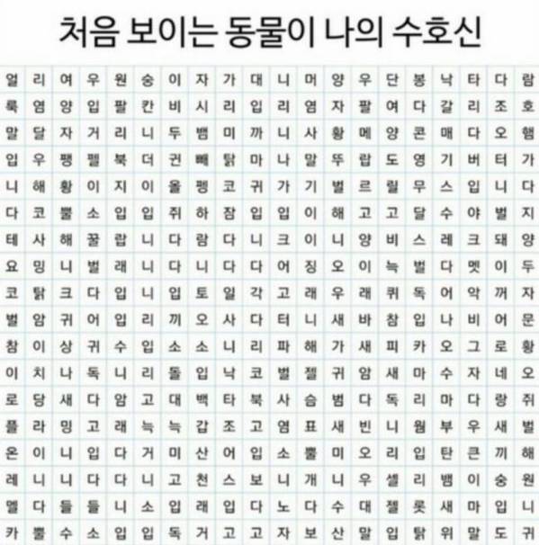 처음보이는 동물이 나의 수호신 | 인스티즈