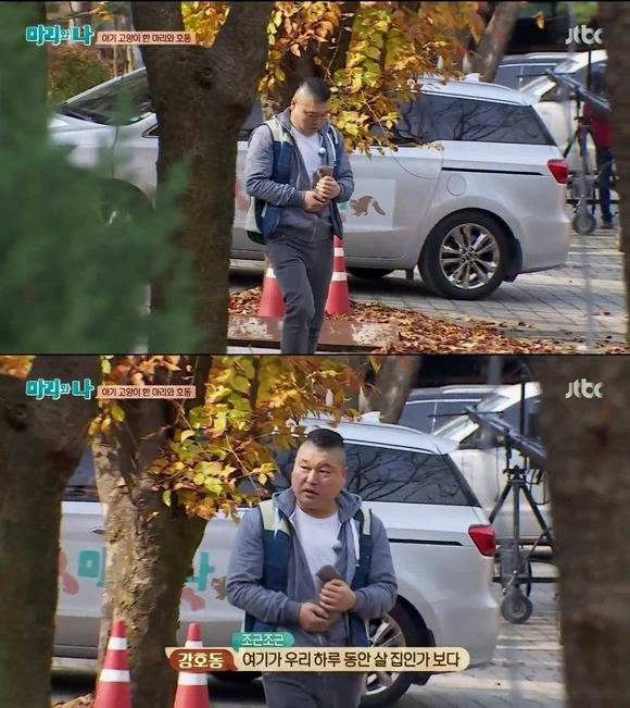 [마리와나] 케미가 냥냥 터지는 강호동과 새끼 고양이 토토.jpg | 인스티즈