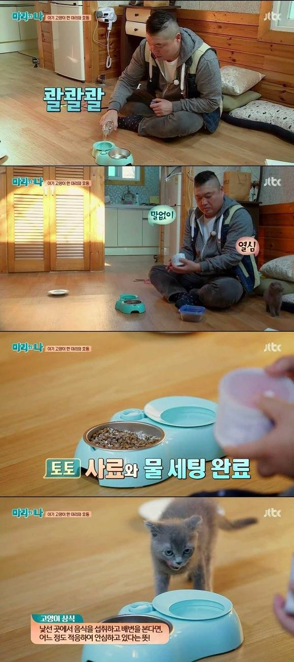 [마리와나] 케미가 냥냥 터지는 강호동과 새끼 고양이 토토.jpg | 인스티즈