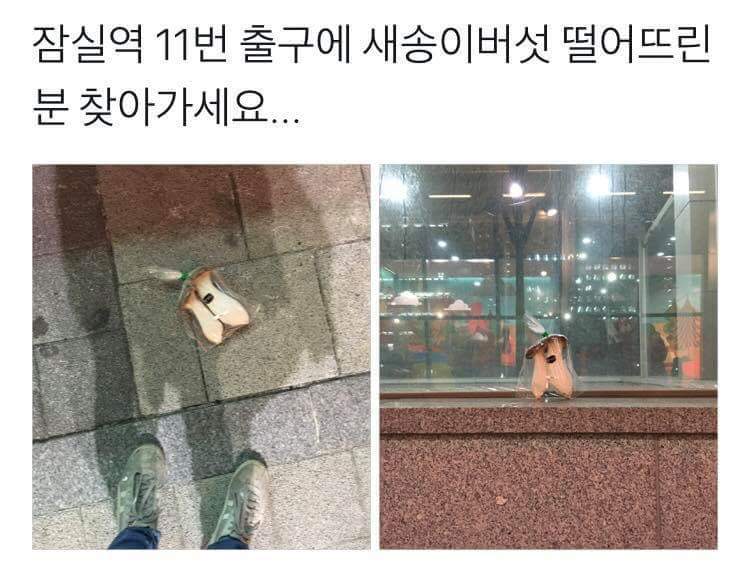 잠실역 11번 출구에 새송이버섯 떨어뜨린 분 찾아가세요 | 인스티즈