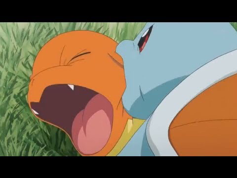 꼬부기는 사랑입니다(데이터주의) | 인스티즈