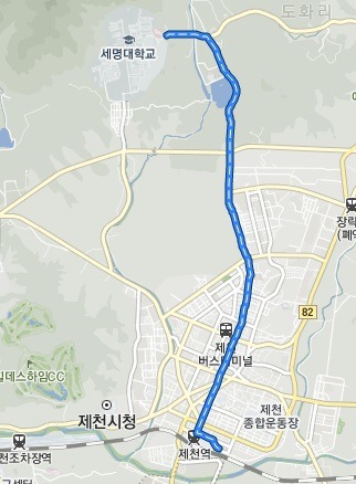 우리나라 각 지역별 이용객이 가장 많은 시내버스는? | 인스티즈