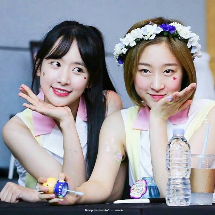 우주소녀 설아 수빈 케미 | 인스티즈