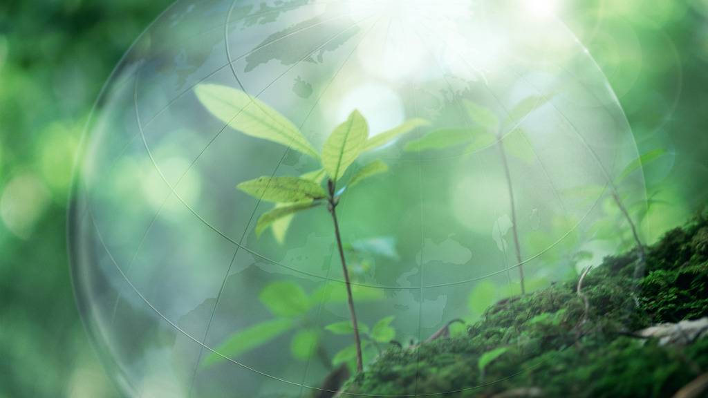 고화질 컴퓨터 바탕화면 1920x1080 3탄 | 인스티즈