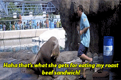 영화 첫 키스만 50번째.gif | 인스티즈