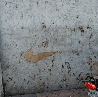 소름주의) 이게 다 뭐시여.. | 인스티즈