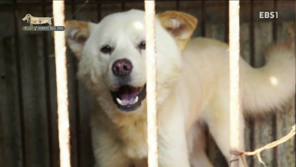 어떻게 그럴 수가 있을까요? 어떻게 사람을 그렇게 좋아할 수 있죠? | 인스티즈