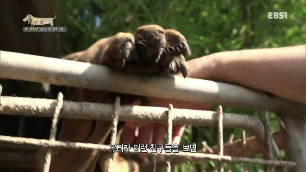 어떻게 그럴 수가 있을까요? 어떻게 사람을 그렇게 좋아할 수 있죠? | 인스티즈