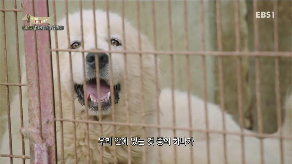 어떻게 그럴 수가 있을까요? 어떻게 사람을 그렇게 좋아할 수 있죠? | 인스티즈