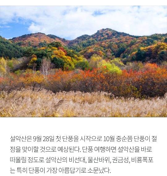 [국내여행] 가을가을한 국내 낭만 여행지 BEST 5 | 인스티즈