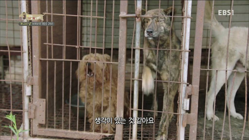 어떻게 그럴 수가 있을까요? 어떻게 사람을 그렇게 좋아할 수 있죠? | 인스티즈