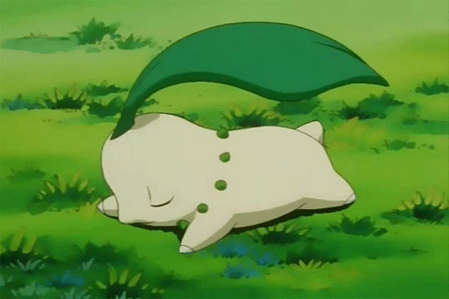 포켓몬스터) 넘나 귀여운 치코리타 짤모음 | 인스티즈