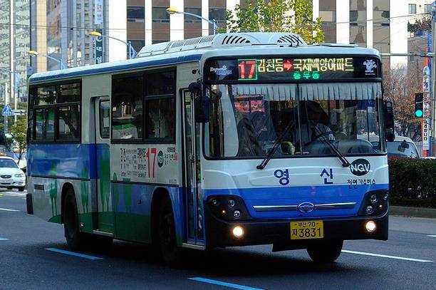 시내버스 서비스가 최악인 지역들 (지역바하 아님) | 인스티즈