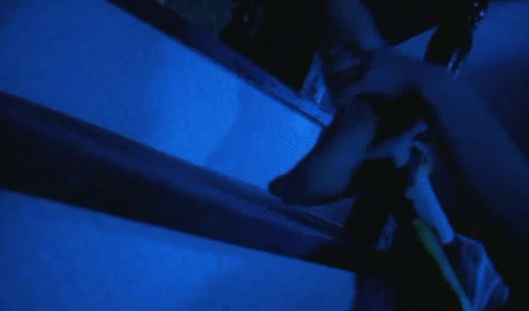 고전명화 깊은밤 갑자기(1981) | 인스티즈