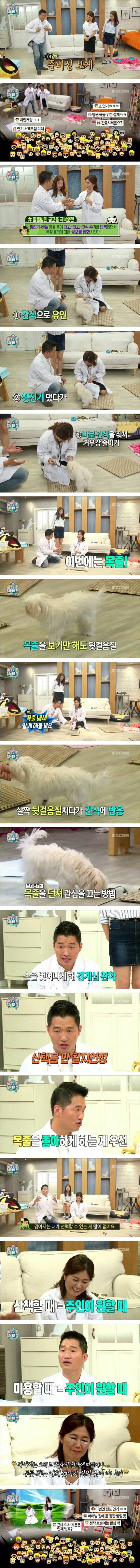 강형욱이 알려주는 강아지 훈련법 | 인스티즈