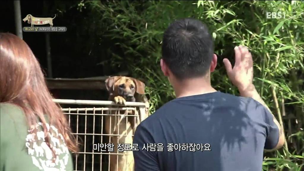 어떻게 그럴 수가 있을까요? 어떻게 사람을 그렇게 좋아할 수 있죠? | 인스티즈