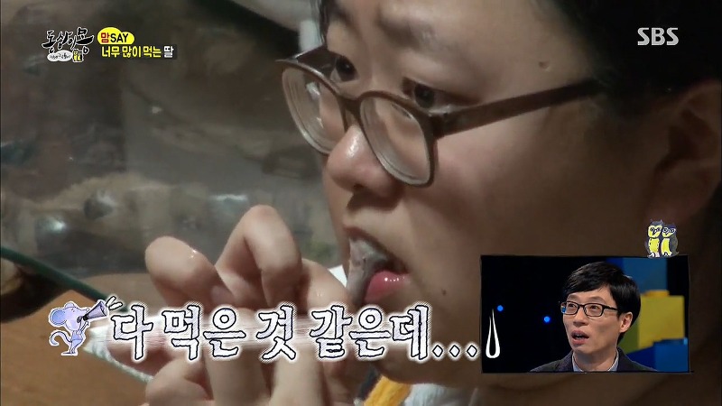 [동상이몽] 치킨 감별사 여고생 ㅋㅋㅋㅋㅋㅋㅋㅋㅋ | 인스티즈