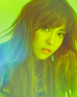 아이돌 성씨 분포표 (본인이 가장 좋아하는 성씨의 아이돌은 누구?) | 인스티즈