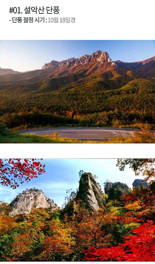 [국내여행] 가을가을한 국내 낭만 여행지 BEST 5 | 인스티즈