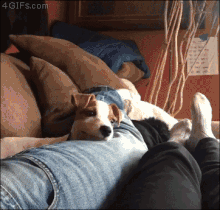 증명사진 | 인스티즈