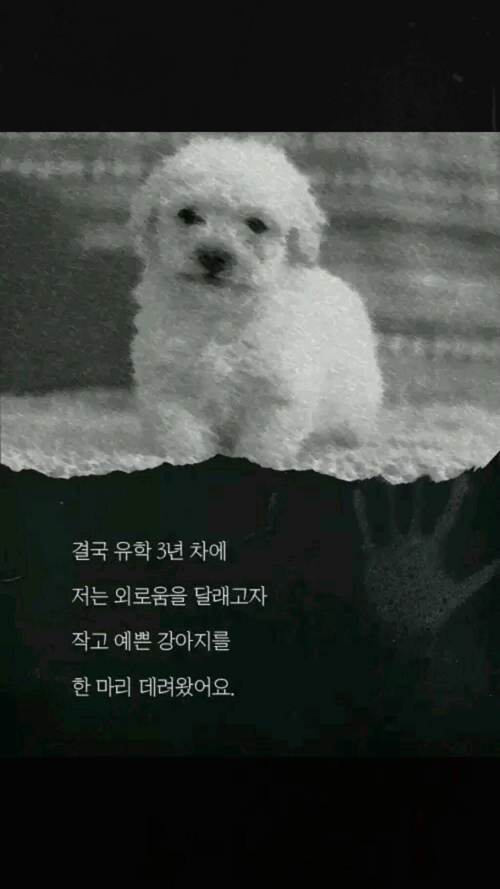 내 집에 있던 남자(소름주의) | 인스티즈