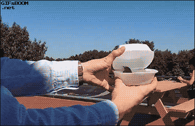 다친 새를 치료하고 자연으로 돌려보내주는 | 인스티즈