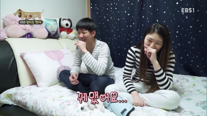 [세나개] 공격적인 반려견이 되는 이유 1부.jpg | 인스티즈