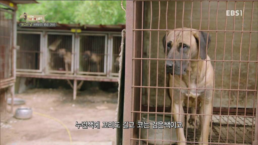 어떻게 그럴 수가 있을까요? 어떻게 사람을 그렇게 좋아할 수 있죠? | 인스티즈