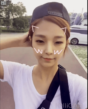 고양이의 엄청난 점프력 | 인스티즈