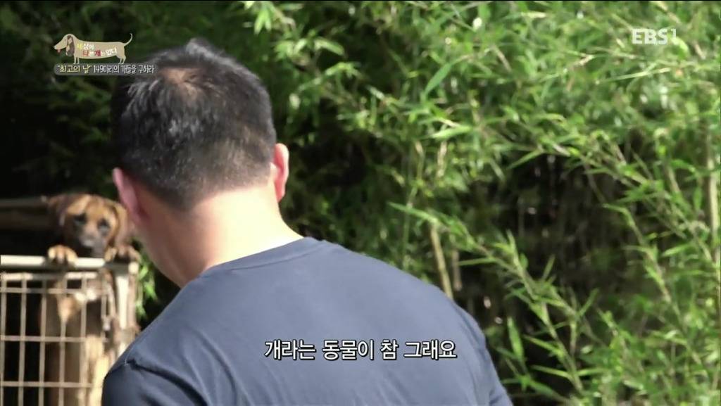 어떻게 그럴 수가 있을까요? 어떻게 사람을 그렇게 좋아할 수 있죠? | 인스티즈