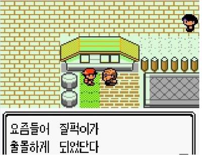 [고북손의포켓몬도감] 질뻐기와 무지개시티 | 인스티즈