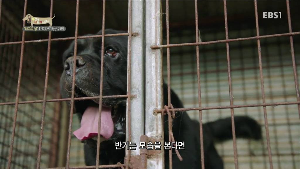 어떻게 그럴 수가 있을까요? 어떻게 사람을 그렇게 좋아할 수 있죠? | 인스티즈