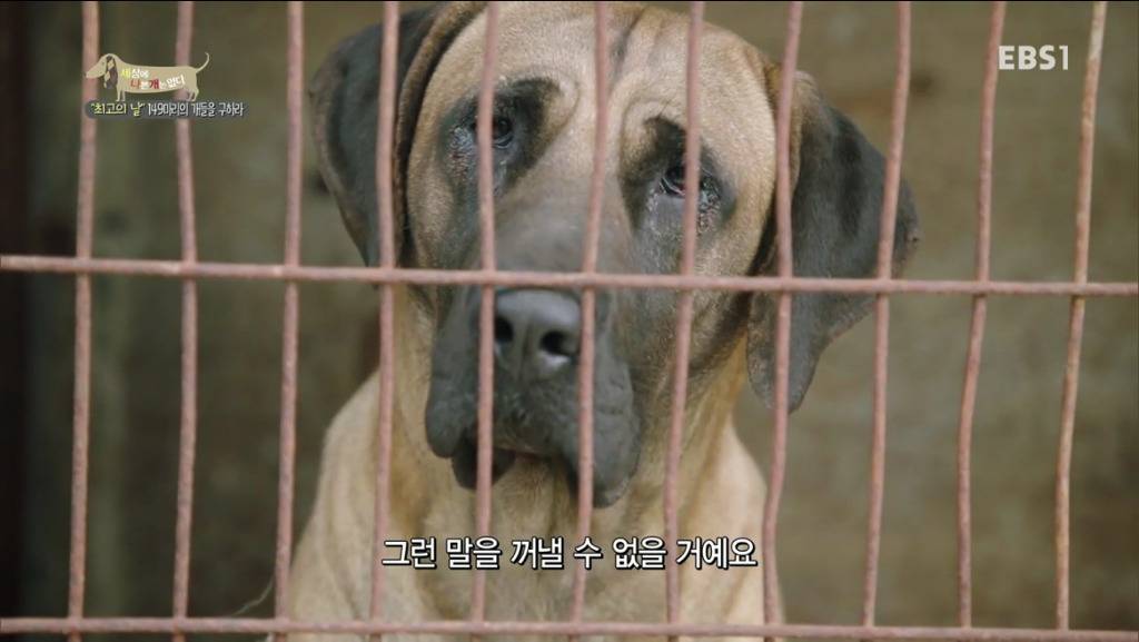 어떻게 그럴 수가 있을까요? 어떻게 사람을 그렇게 좋아할 수 있죠? | 인스티즈