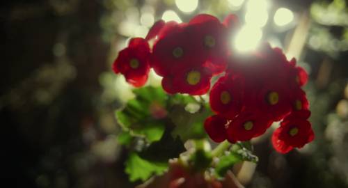 힘든 세상 살면서 마음 속에 하나 쯤 품어도 괜찮은 말들 | 인스티즈