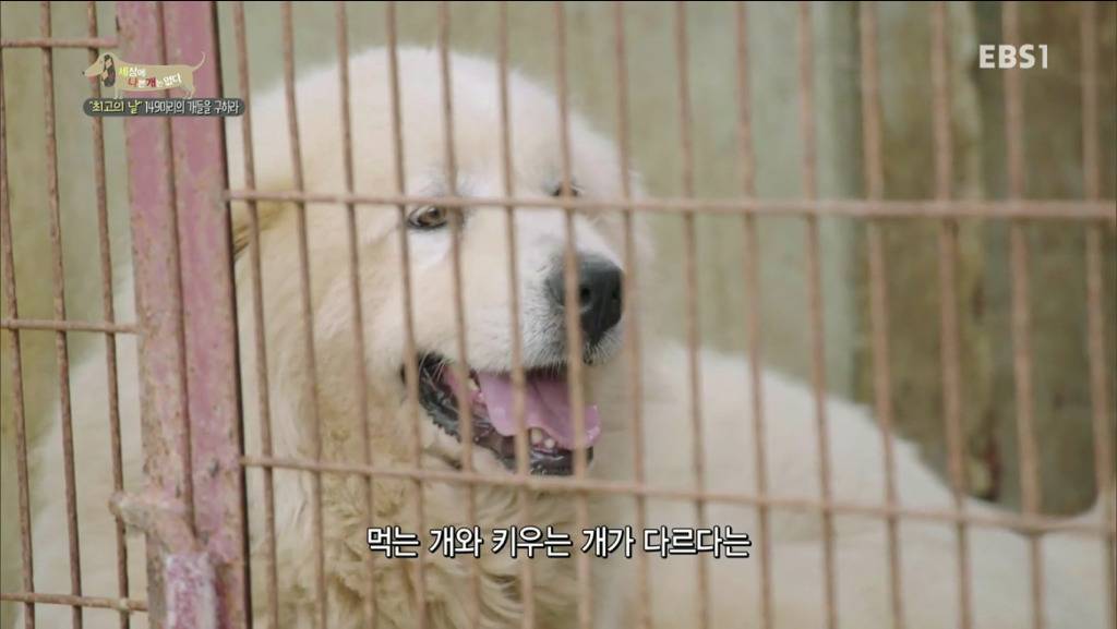 어떻게 그럴 수가 있을까요? 어떻게 사람을 그렇게 좋아할 수 있죠? | 인스티즈