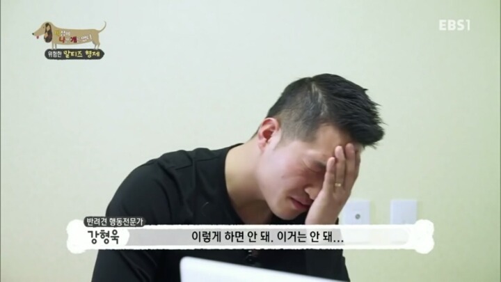 [세나개] 공격적인 반려견이 되는 이유 1부.jpg | 인스티즈