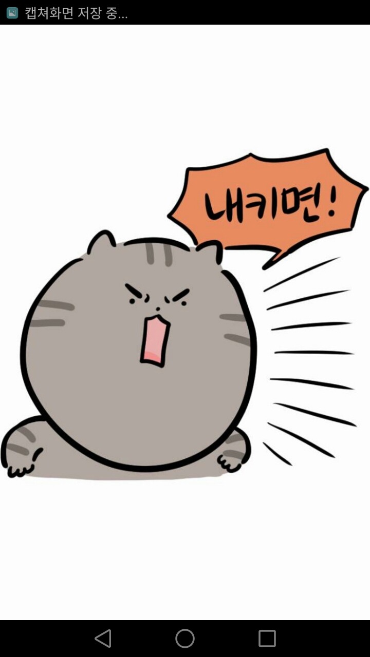 개와 고양이의 차이 (강아지 vs 고양이) | 인스티즈