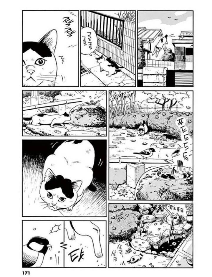 고양이 분짱(슬픔주의) | 인스티즈