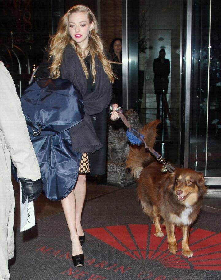 [아만다사이프리드] 금발 + 좋은 머릿결 = 넘나 예쁜것 | 인스티즈