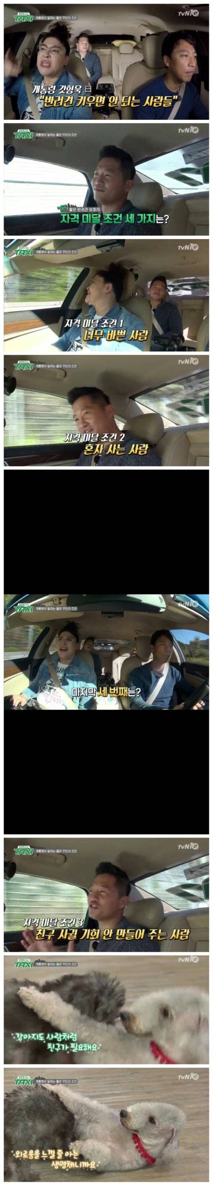 반려견을 키우면 안되는 사람들 | 인스티즈